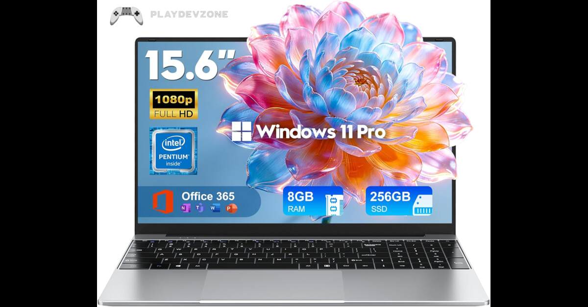 Budget Business Laptop